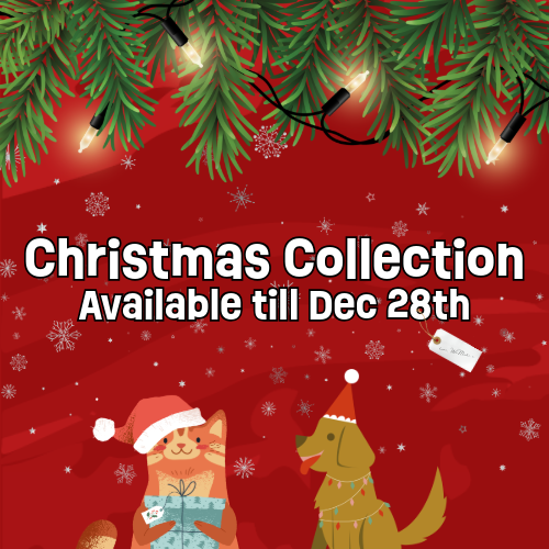 The Christmas Edit